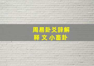 周易卦爻辞解释 文 小畜卦